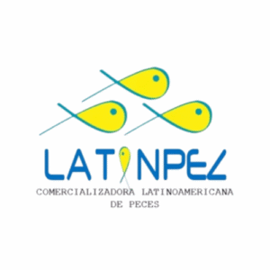 Diseño sin título (23)